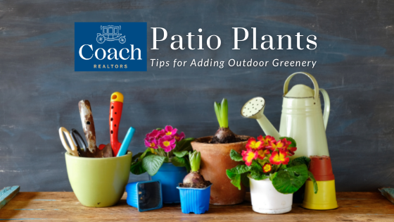 Patio Potted Plants - Homeowners - Coach Realtors
